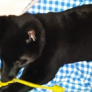 1676383293408_1600x900ms