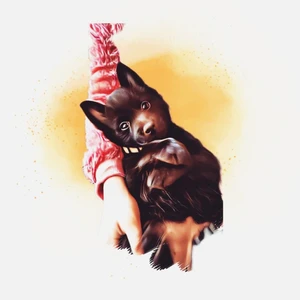 1676383359112_1600x900ms