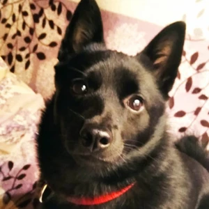 1676383642543_1600x900ms