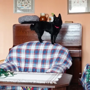 1676383642550_1600x900ms