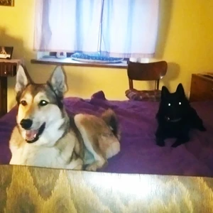 1676383642558_1600x900ms