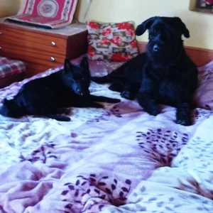 1676383642564_1600x900ms