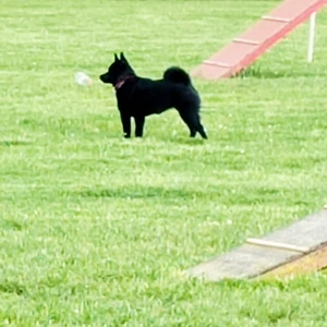 1676383642578_1600x900ms