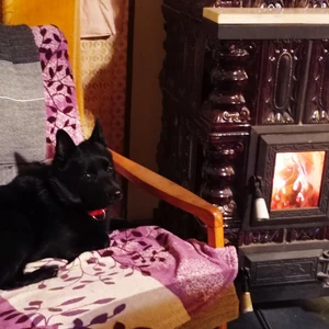 1676383642589_1600x900ms