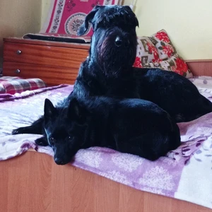 1676383642593_1600x900ms