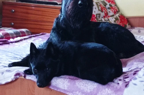 1676383642593_1600x900ms