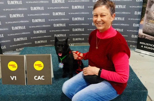 1682492038886_1600x900ms