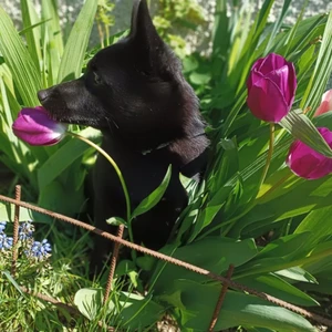 1714638515243_1600x900ms