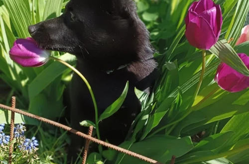 1714638515243_1600x900ms