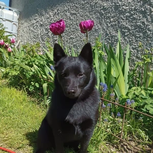 1714638515251_1600x900ms