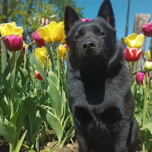 1714638515258_1600x900ms