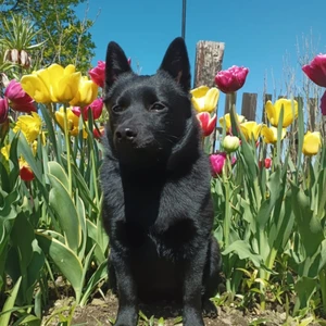 1714638515268_1600x900ms (1)