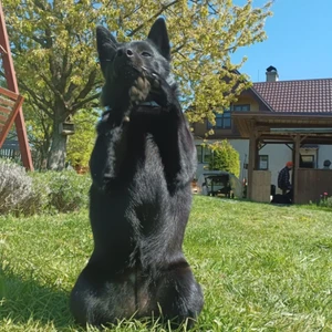 1714638515291_1600x900ms