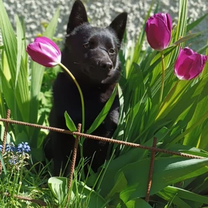 1714638515302_1600x900ms