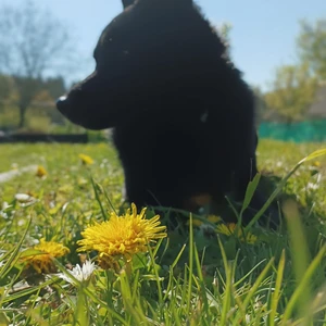 1714638515313_1600x900ms