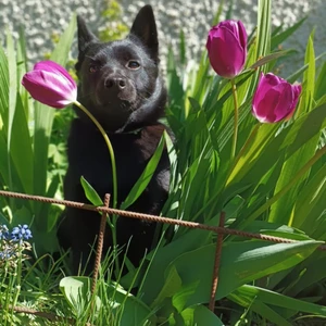 1714638515326_1600x900ms