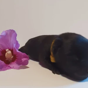 454871976_10220580238375077_4646059452224060927_n_1600x900ms