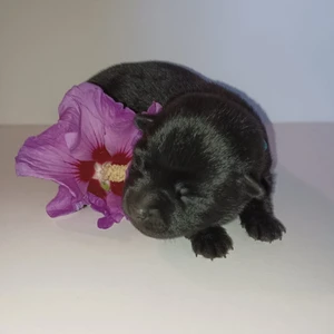 454899118_10220580238695085_7912515275273190849_n_1600x900ms