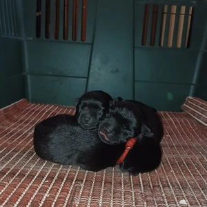 454940683_10220580237695060_5917636558635256882_n_1600x900ms