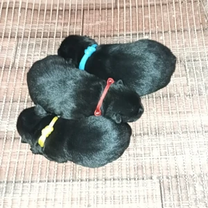 455022419_10220580236735036_8121115435776686791_n_1600x900ms