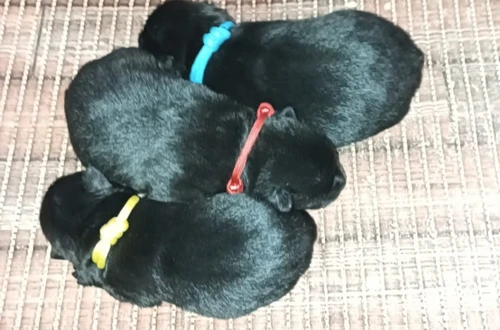 455022419_10220580236735036_8121115435776686791_n_1600x900ms