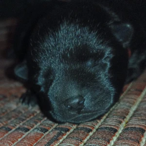 455093137_10220580238895090_7914780744300490532_n_1600x900ms