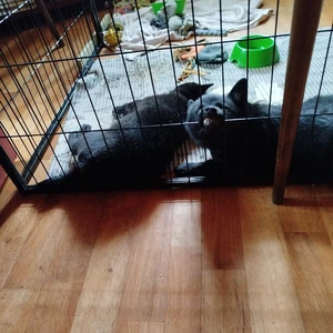 464105598_10221177015534133_51798815049534650_n