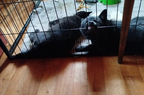 464105598_10221177015534133_51798815049534650_n