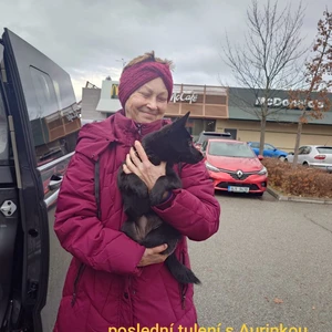 468702026_10221747570037639_2338323095827039064_n