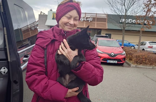 468702026_10221747570037639_2338323095827039064_n