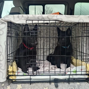 468713485_10221747571277670_6300065927881580991_n