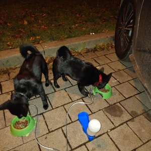 468726556_10221747571597678_4578439985596249677_n