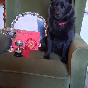 487313177_10222415380812491_8122865672495049523_n