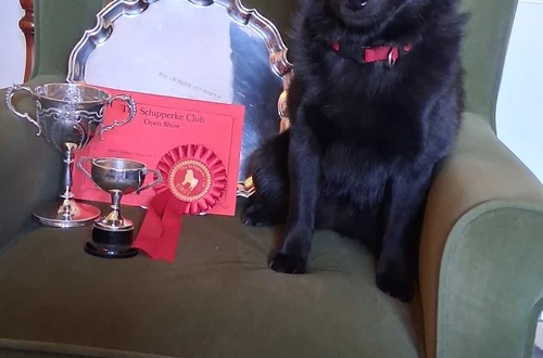 487313177_10222415380812491_8122865672495049523_n