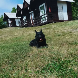 497816963_10222823980787235_3421926329476026574_n