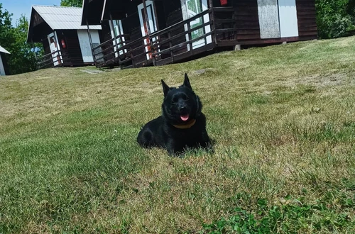 497816963_10222823980787235_3421926329476026574_n