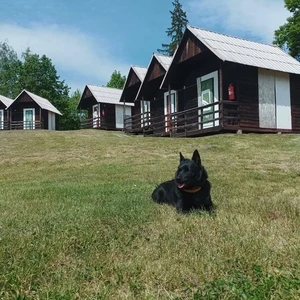 497979653_10222823978867187_8913002294035736250_n