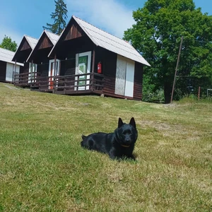 498014966_10222823979947214_490013867907557838_n