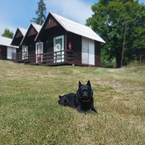 498128621_10222823978187170_4977641826984948761_n