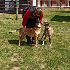 498175845_10222833211097987_286604152053480315_n