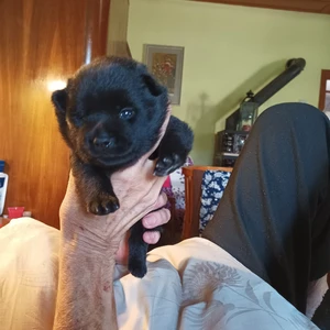 505372915_10223080323195635_2909994608931875319_n