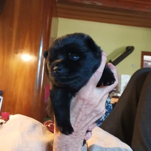 505898554_10223080322435616_4137598836729490181_n (1)