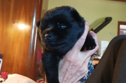 505898554_10223080322435616_4137598836729490181_n (1)