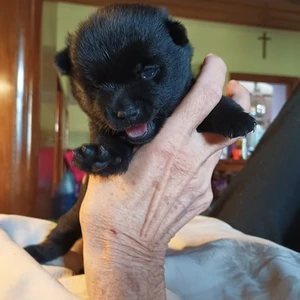 506395118_10223080322955629_7769218631630511733_n (1)