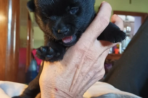 506395118_10223080322955629_7769218631630511733_n (1)