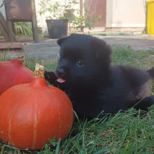 img-20240906-wa0007_1600x900ms