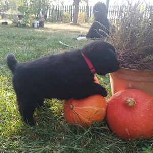 img-20240906-wa0013_1600x900ms