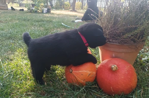 img-20240906-wa0013_1600x900ms