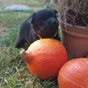 img-20240906-wa0016_1600x900ms