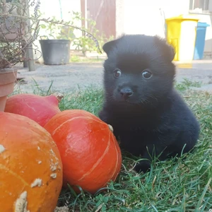 img-20240906-wa0020_1600x900ms